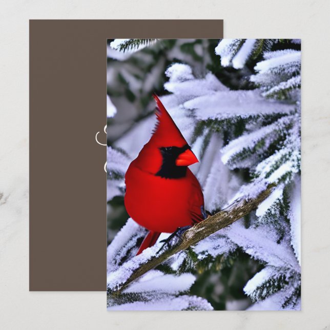Winter Red Cardinal Thank You Card (Front/Back)