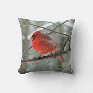 Winter Red Cardinal ( WestCreek) Cushion