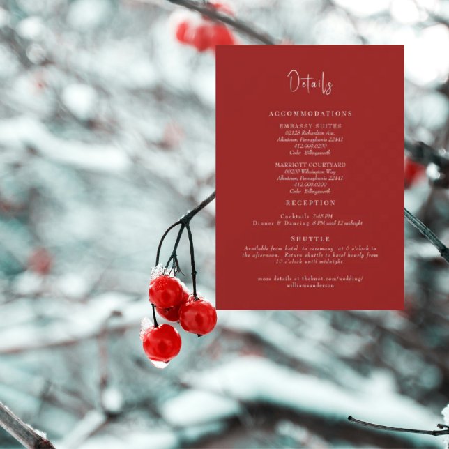 Winter Red Wedding Details Enclosure Invitation (Creator Uploaded)