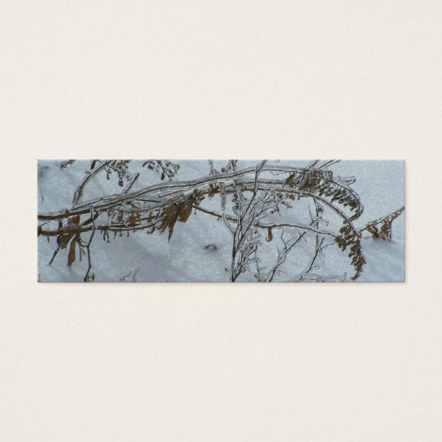 Winter Reflections Bookmark (Front)