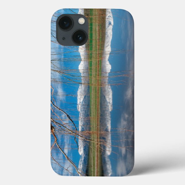Winter Reflections. Ceres, Boland District Case-Mate iPhone Case (Back)