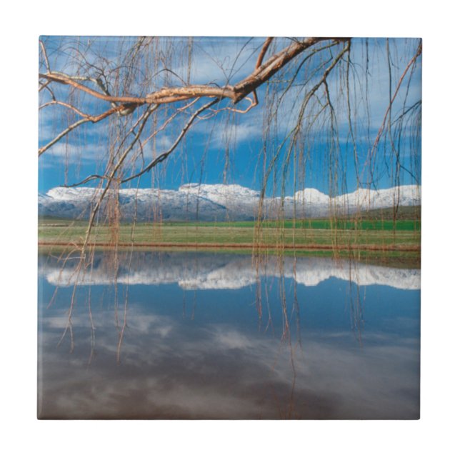 Winter Reflections. Ceres, Boland District Ceramic Tile (Front)