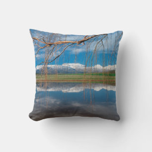 Winter Reflections. Ceres, Boland District Cushion