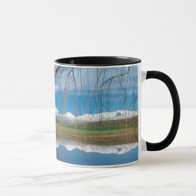 Winter Reflections. Ceres, Boland District Mug (Right)