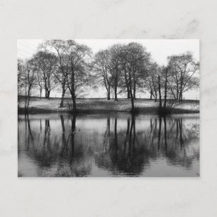 Winter Reflections: Cheshire, England Postcard