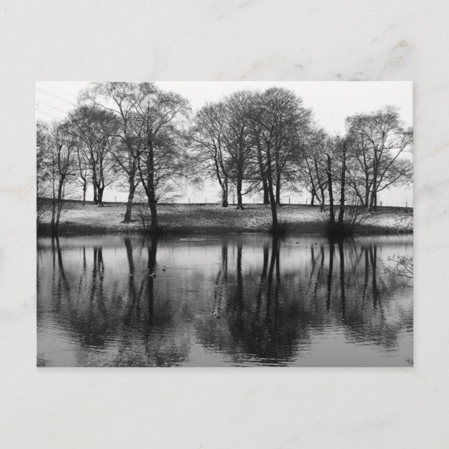 Winter Reflections: Cheshire, England Postcard (Front)