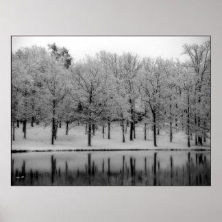 Winter Reflections Poster