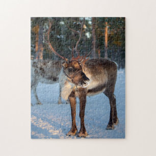 Winter Reindeer Snowing Mountain Pretty Landscape Jigsaw Puzzle