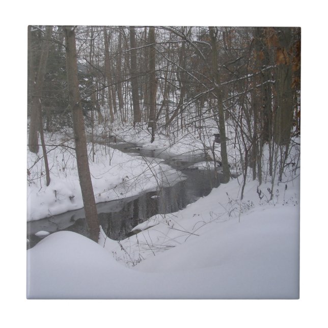 "Winter Ribbon" Ceramic Tile (Front)