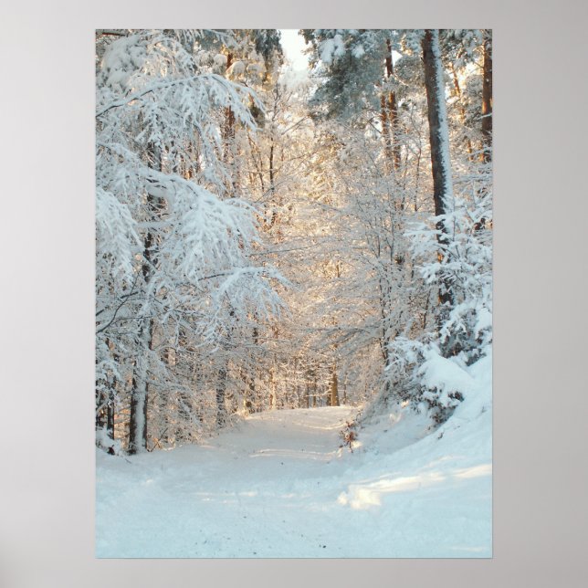 Winter Road Poster (Front)