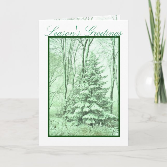 WINTER ROBES ~ Green Holiday Card (Front)