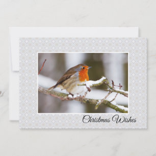 Winter Robin Flat Christmas Card