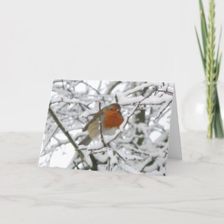 Winter Robin Luxury Christmas Card