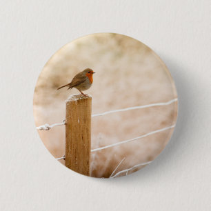 Winter Robin Redbreast 6 Cm Round Badge