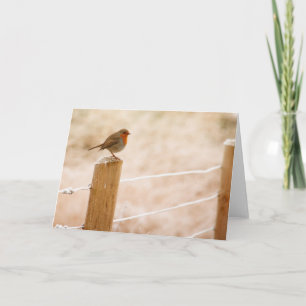 Winter Robin Redbreast Card