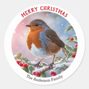 Winter Robin Redbreast Festive Merry Christmas Classic Round Sticker