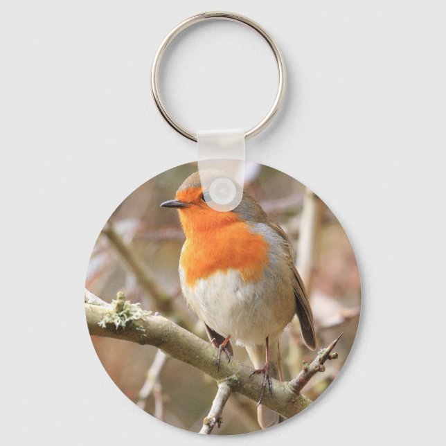 Winter Robin Redbreast Key Ring (Front)