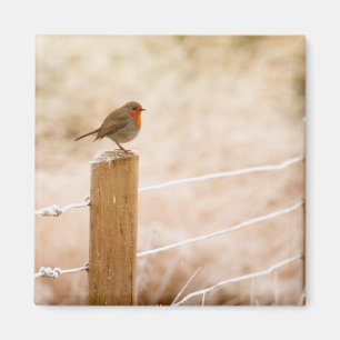 Winter Robin Redbreast Magnet