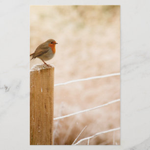 Winter Robin Redbreast Stationery