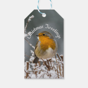 Winter Robin White Christmas Holly Round Frame Gift Tags