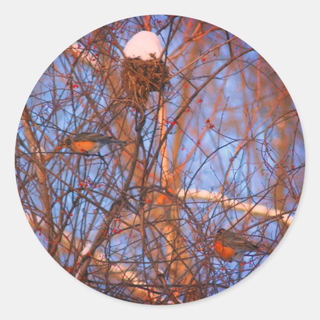 Winter Robins Wildlife Nature Classic Round Sticker (Front)