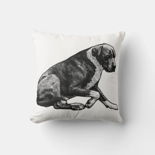 Winter-room ease cushion