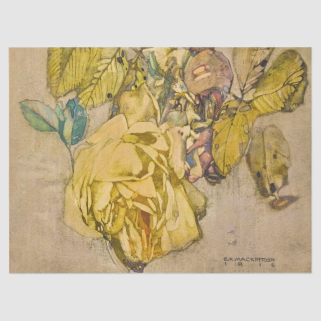 Winter Rose by Charles Rennie Mackintosh Tissue Paper (Front)