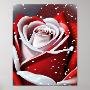 Winter Rose  Poster