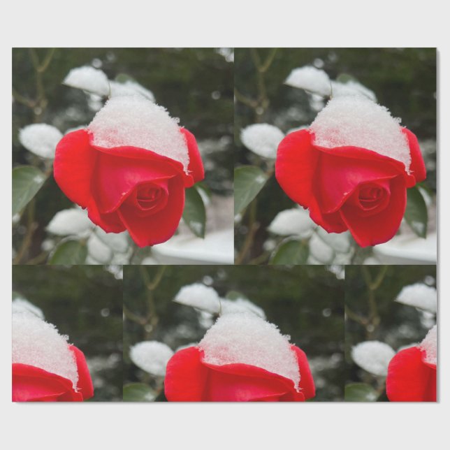 Winter Rose Wrapping Paper  (Flat)