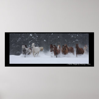 Winter Round Up Poster