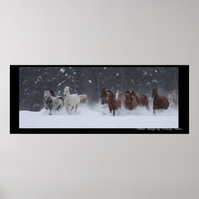 Winter Round Up Poster (Front)