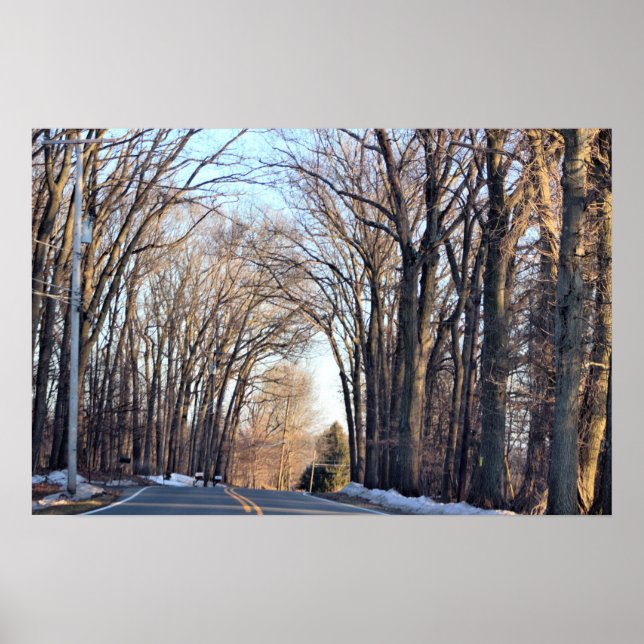 Winter Rows of Trees Poster (Front)