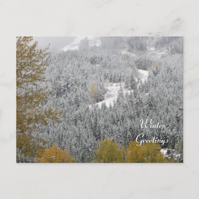 Winter Scene at Whistler, B.C. Postcard (Front)