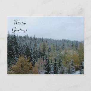 Winter Scene at Whistler, B.C. Postcard