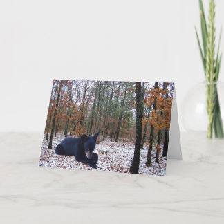 Winter Scene Black Bear Cub in the Woods Holiday Card