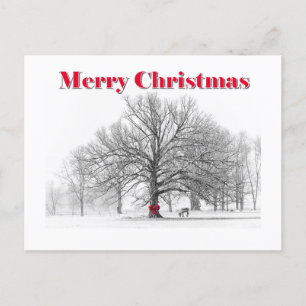 Winter Scene Christmas Card (Postcard)