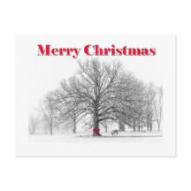 Winter Scene Christmas Card (Postcard)