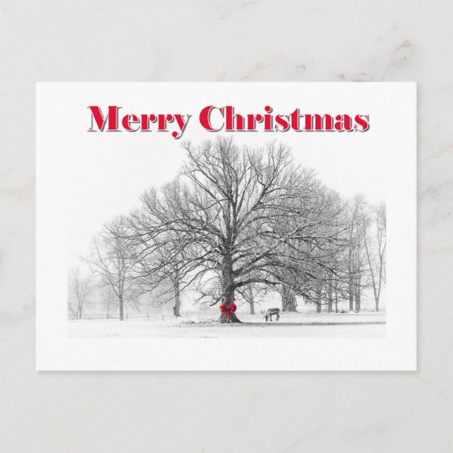 Winter Scene Christmas Card (Postcard) (Front)