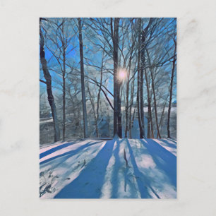 Winter Scene Forest with Snow Landscape Postcard
