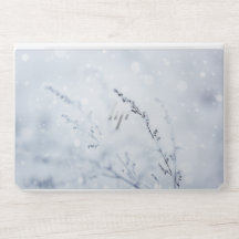 Winter scene -Frozened flower