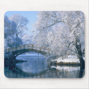 Winter scene mouse pad