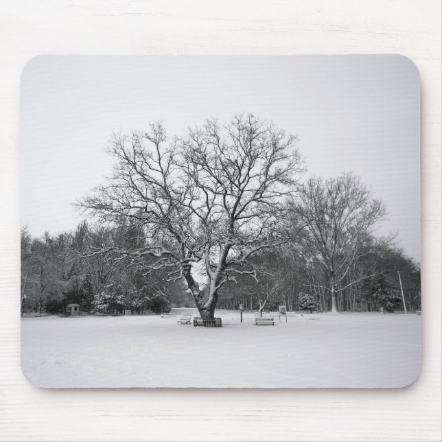 Winter Scene Mouse Pad (Front)