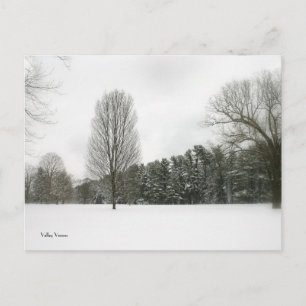 Winter Scene Postcard