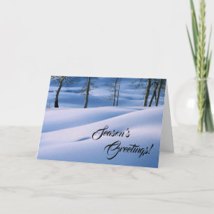 Winter Scene Season's Greetings Holiday Card