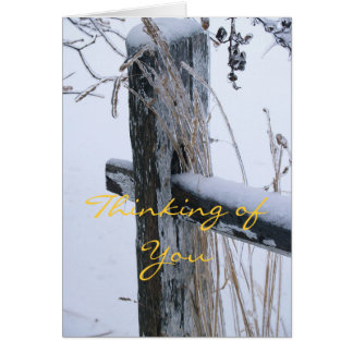 Winter Scene-Thinking of You