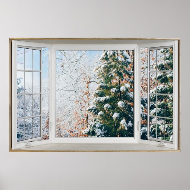 Winter Scene White Bay Window Illusion Poster (Front)