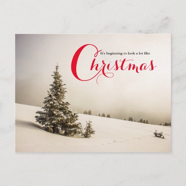Winter Scene with Tree - Post Card (Front)