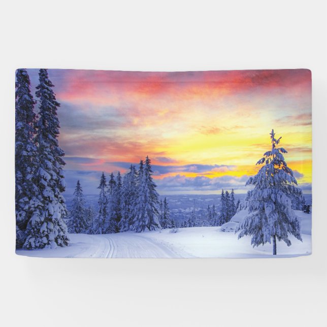 Winter scenery  banner (Horizontal)