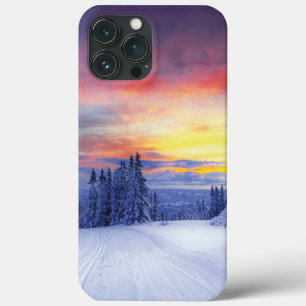 Winter scenery   iPhone 13 pro max case