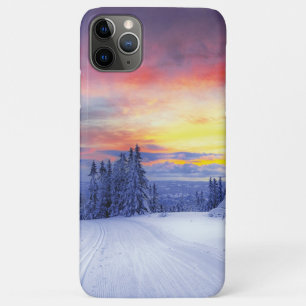 Winter scenery iPhone 11 pro max case